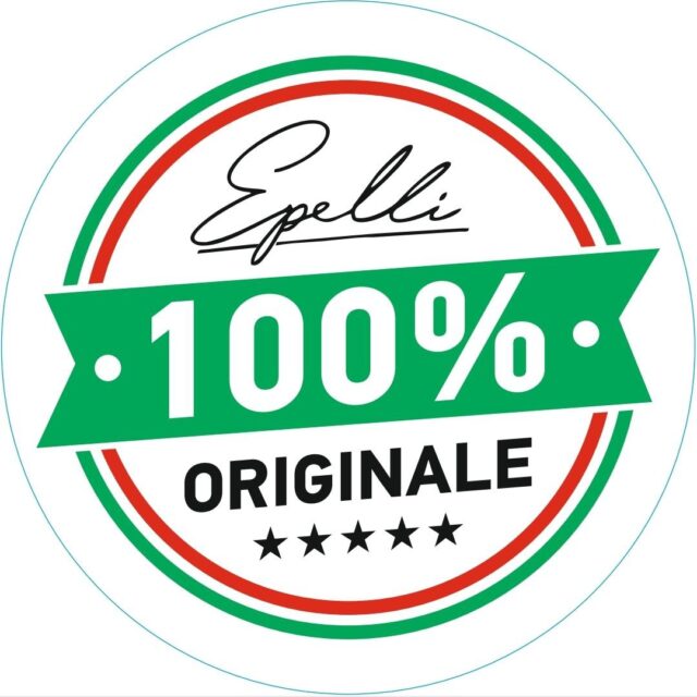 лого100